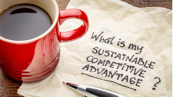 What is my sustainable competitive advantage