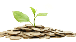 Sustainability initiatives can save money